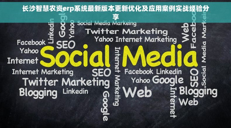 长沙智慧农资erp系统最新版本更新优化及应用案例实战经验分享