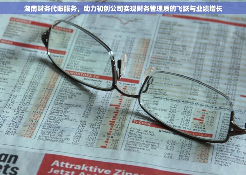湖南财务代账服务，助力初创公司实现财务管理质的飞跃与业绩增长