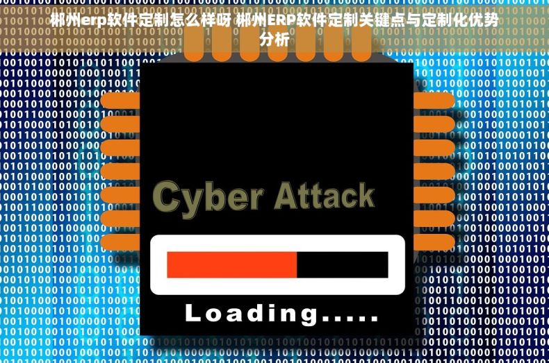 郴州erp软件定制怎么样呀 郴州ERP软件定制关键点与定制化优势分析