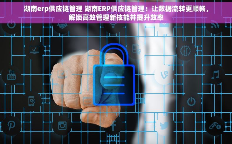 湖南erp供应链管理 湖南ERP供应链管理：让数据流转更顺畅，解锁高效管理新技能并提升效率