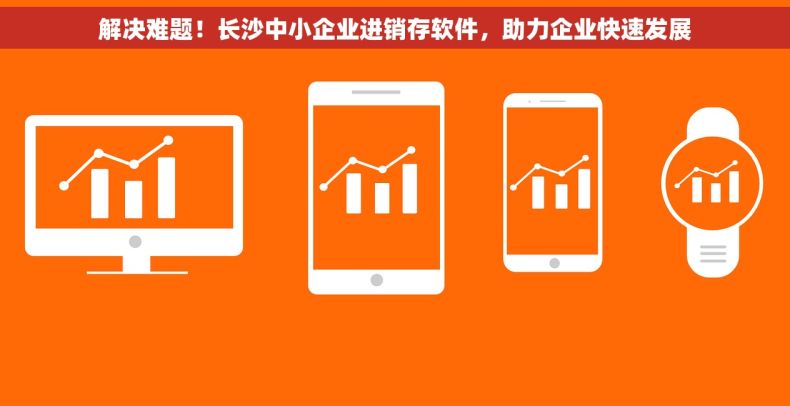 解决难题！长沙中小企业进销存软件，助力企业快速发展