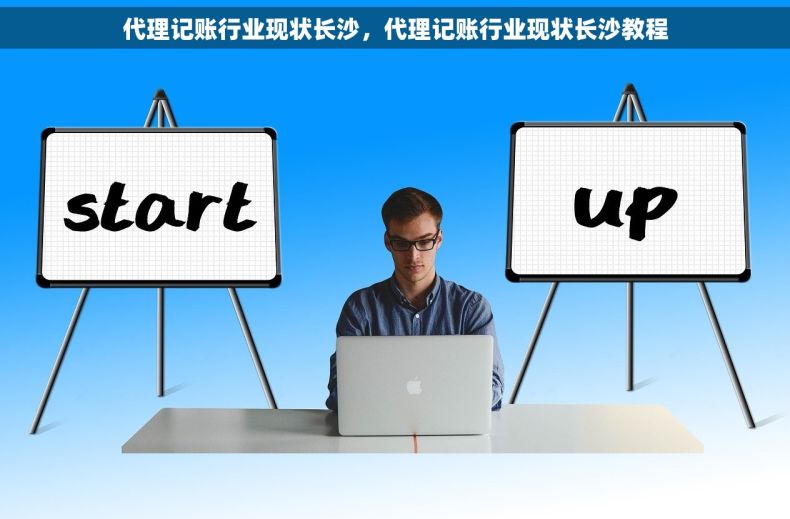 代理记账行业现状长沙，代理记账行业现状长沙教程