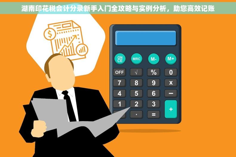 湖南印花税会计分录新手入门全攻略与实例分析，助您高效记账