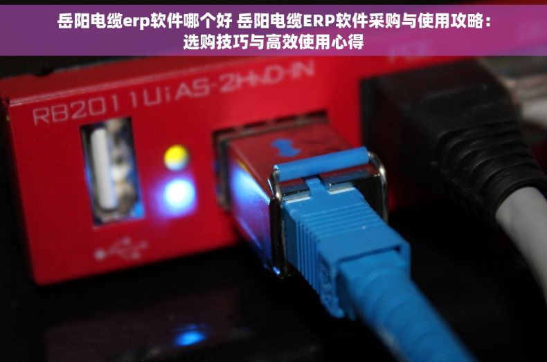 岳阳电缆erp软件哪个好 岳阳电缆ERP软件采购与使用攻略：选购技巧与高效使用心得