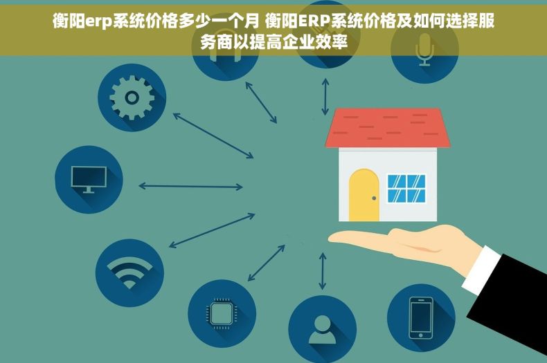 衡阳erp系统价格多少一个月 衡阳ERP系统价格及如何选择服务商以提高企业效率