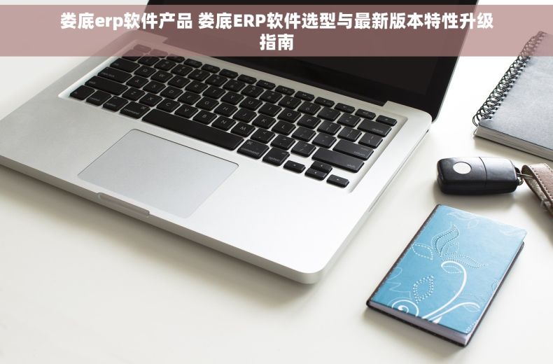娄底erp软件产品 娄底ERP软件选型与最新版本特性升级指南