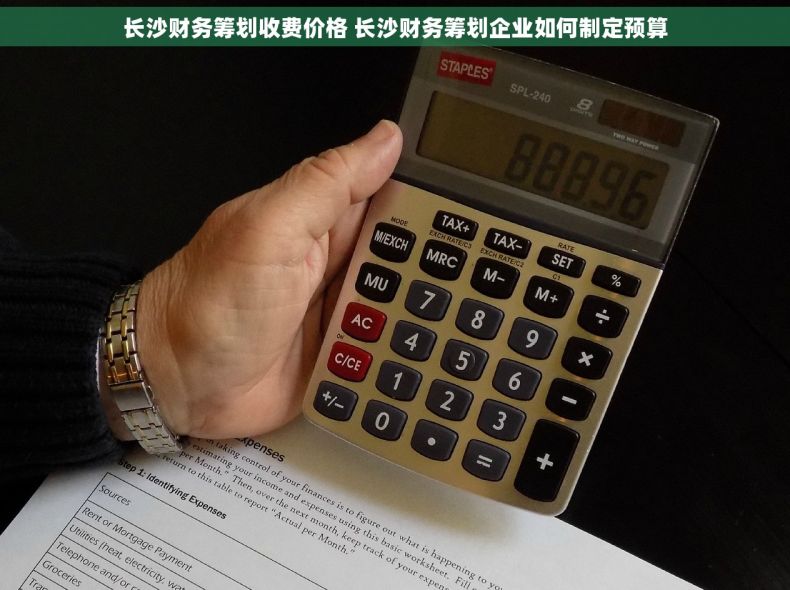 长沙财务筹划收费价格 长沙财务筹划企业如何制定预算