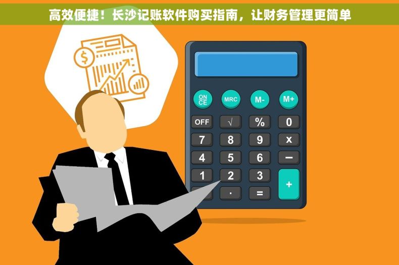 高效便捷！长沙记账软件购买指南，让财务管理更简单
