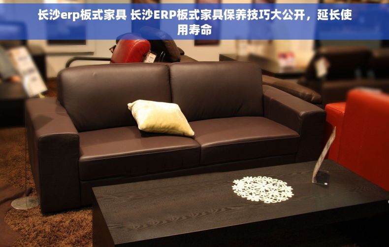长沙erp板式家具 长沙ERP板式家具保养技巧大公开，延长使用寿命