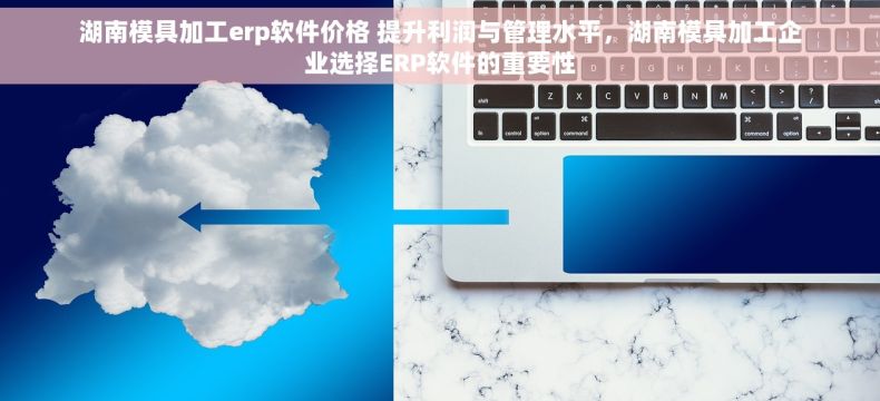 湖南模具加工erp软件价格 提升利润与管理水平，湖南模具加工企业选择ERP软件的重要性