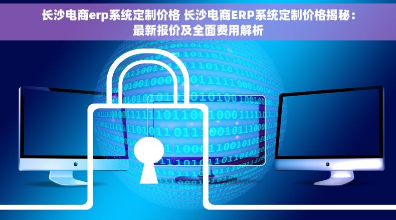 长沙电商erp系统定制价格 长沙电商ERP系统定制价格揭秘：最新报价及全面费用解析