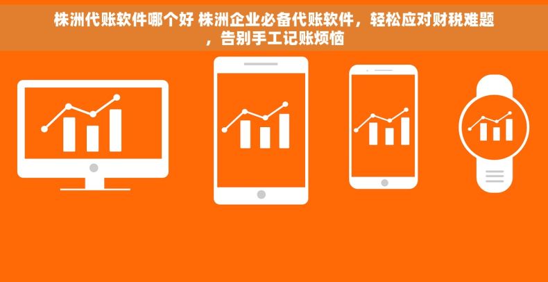 株洲代账软件哪个好 株洲企业必备代账软件，轻松应对财税难题，告别手工记账烦恼