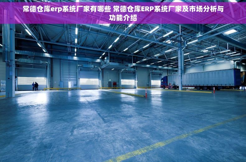 常德仓库erp系统厂家有哪些 常德仓库ERP系统厂家及市场分析与功能介绍