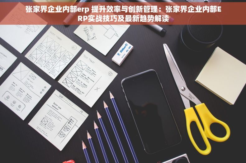 张家界企业内部erp 提升效率与创新管理：张家界企业内部ERP实战技巧及最新趋势解读