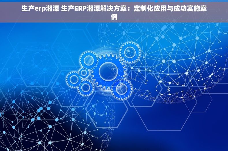 生产erp湘潭 生产ERP湘潭解决方案：定制化应用与成功实施案例