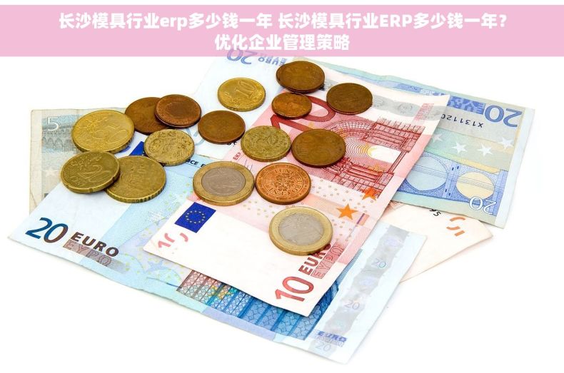 长沙模具行业erp多少钱一年 长沙模具行业ERP多少钱一年？优化企业管理策略