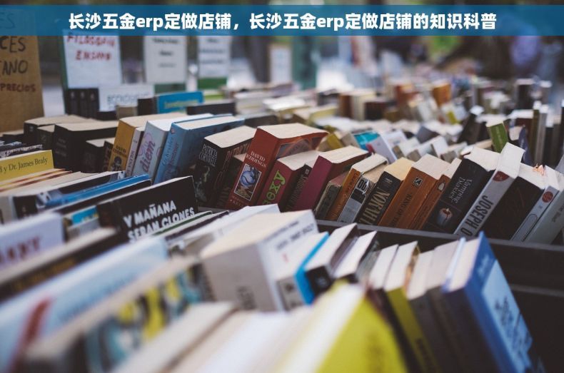 长沙五金erp定做店铺，长沙五金erp定做店铺的知识科普
