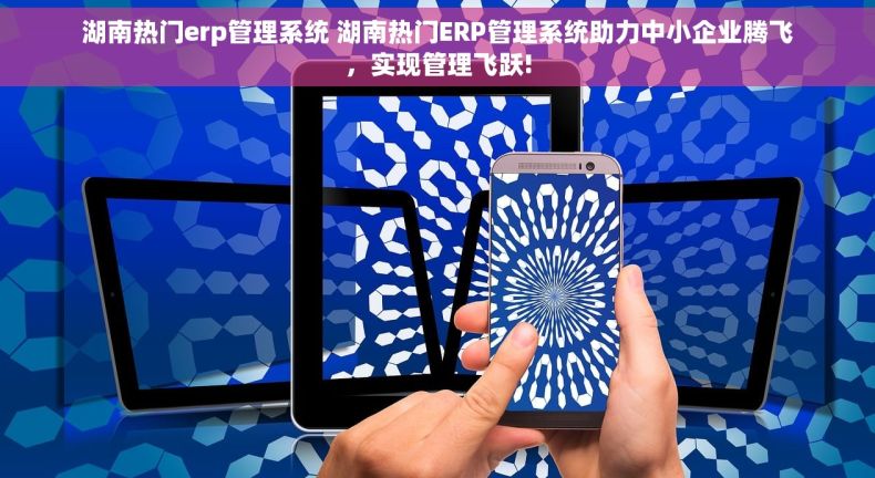 湖南热门erp管理系统 湖南热门ERP管理系统助力中小企业腾飞，实现管理飞跃!