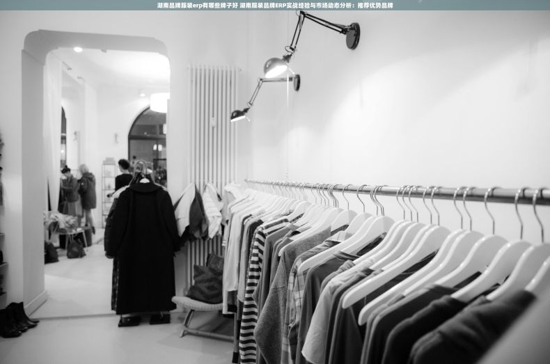 湖南品牌服装erp有哪些牌子好 湖南服装品牌ERP实战经验与市场动态分析：推荐优势品牌