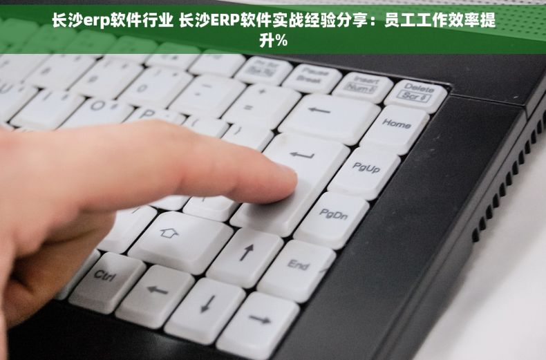 长沙erp软件行业 长沙ERP软件实战经验分享：员工工作效率提升%