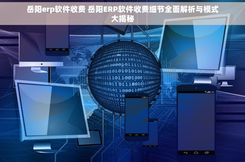 岳阳erp软件收费 岳阳ERP软件收费细节全面解析与模式大揭秘
