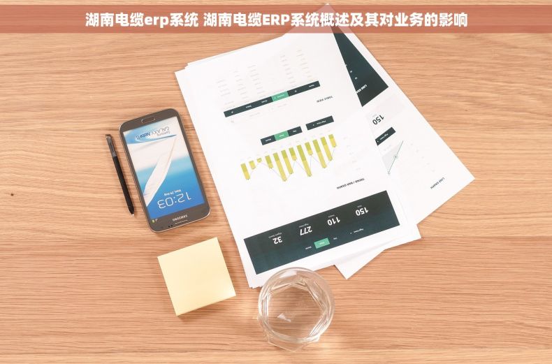 湖南电缆erp系统 湖南电缆ERP系统概述及其对业务的影响