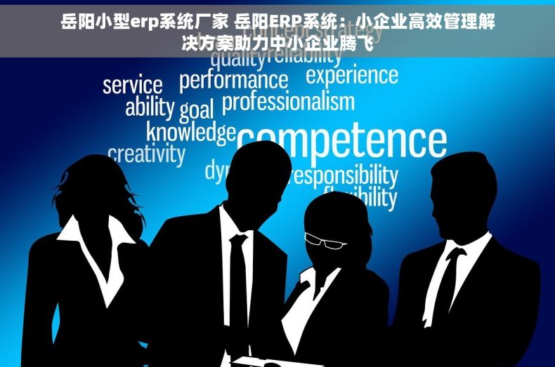 岳阳小型erp系统厂家 岳阳ERP系统：小企业高效管理解决方案助力中小企业腾飞