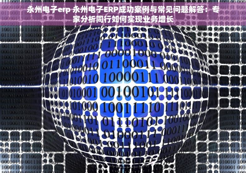 永州电子erp 永州电子ERP成功案例与常见问题解答：专家分析同行如何实现业务增长