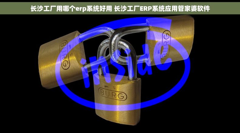 长沙工厂用哪个erp系统好用 长沙工厂ERP系统应用管家婆软件