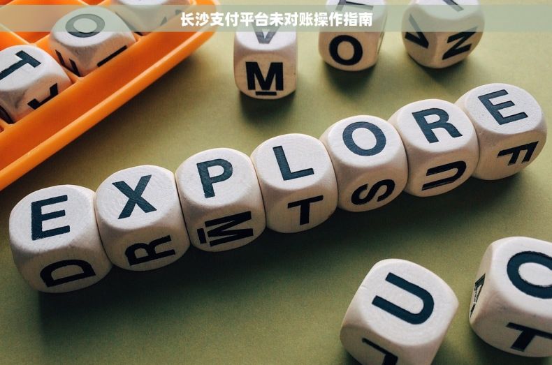 长沙支付平台未对账操作指南