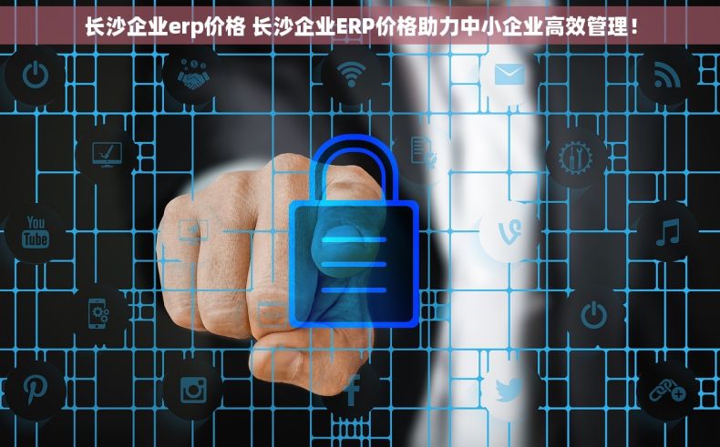长沙企业erp价格 长沙企业ERP价格助力中小企业高效管理！