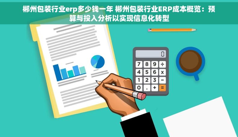 郴州包装行业erp多少钱一年 郴州包装行业ERP成本概览：预算与投入分析以实现信息化转型