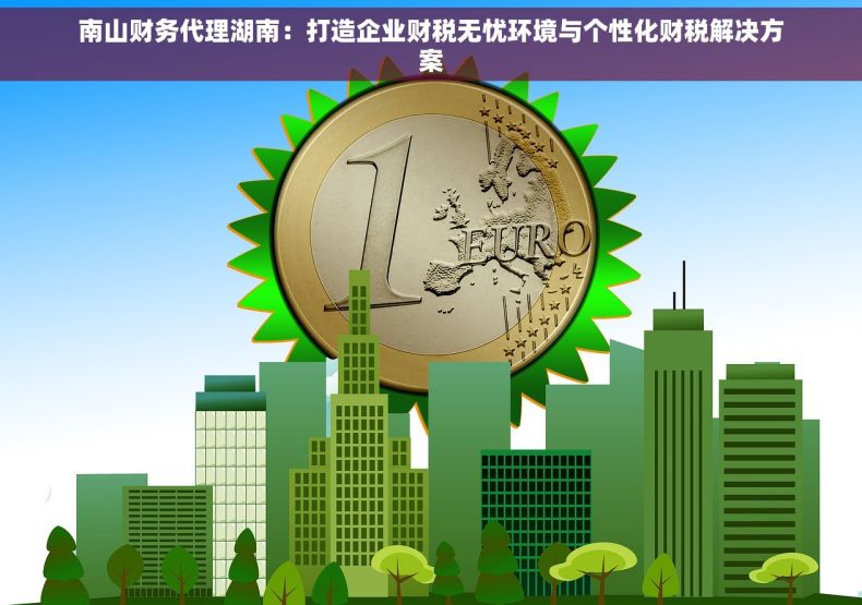 南山财务代理湖南：打造企业财税无忧环境与个性化财税解决方案