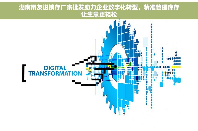 湖南用友进销存厂家批发助力企业数字化转型，精准管理库存让生意更轻松