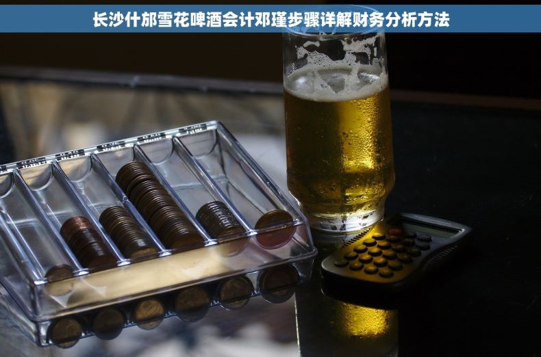 长沙什邡雪花啤酒会计邓瑾步骤详解财务分析方法