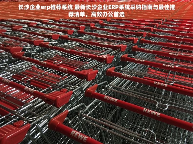 长沙企业erp推荐系统 最新长沙企业ERP系统采购指南与最佳推荐清单，高效办公首选
