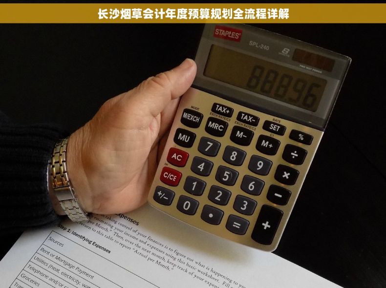 长沙烟草会计年度预算规划全流程详解