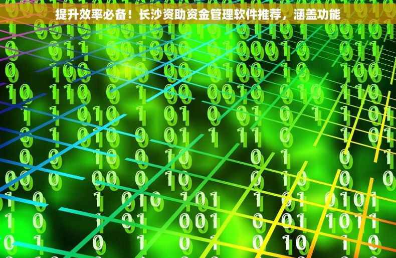 提升效率必备！长沙资助资金管理软件推荐，涵盖功能