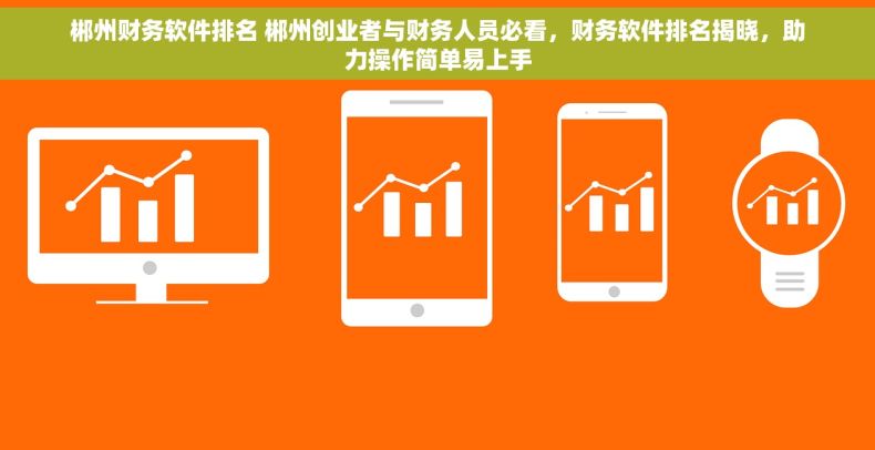 郴州财务软件排名 郴州创业者与财务人员必看，财务软件排名揭晓，助力操作简单易上手