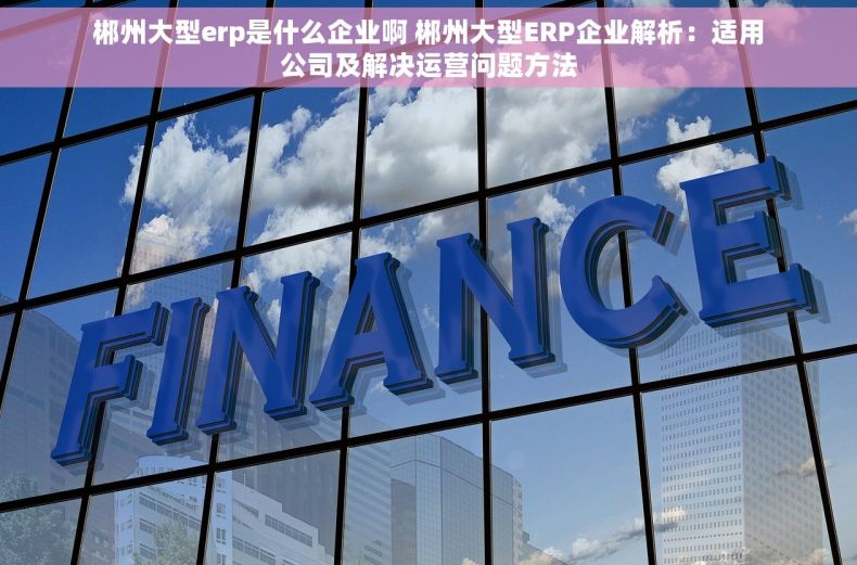 郴州大型erp是什么企业啊 郴州大型ERP企业解析：适用公司及解决运营问题方法