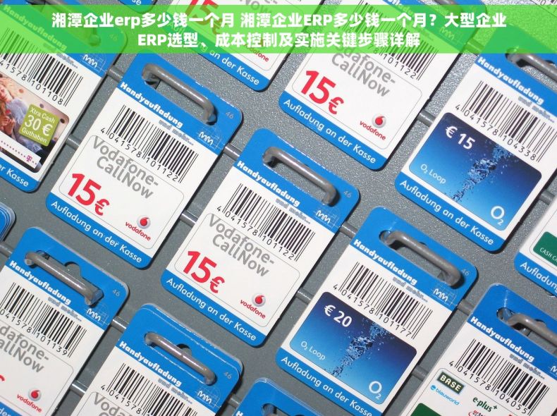 湘潭企业erp多少钱一个月 湘潭企业ERP多少钱一个月？大型企业ERP选型、成本控制及实施关键步骤详解