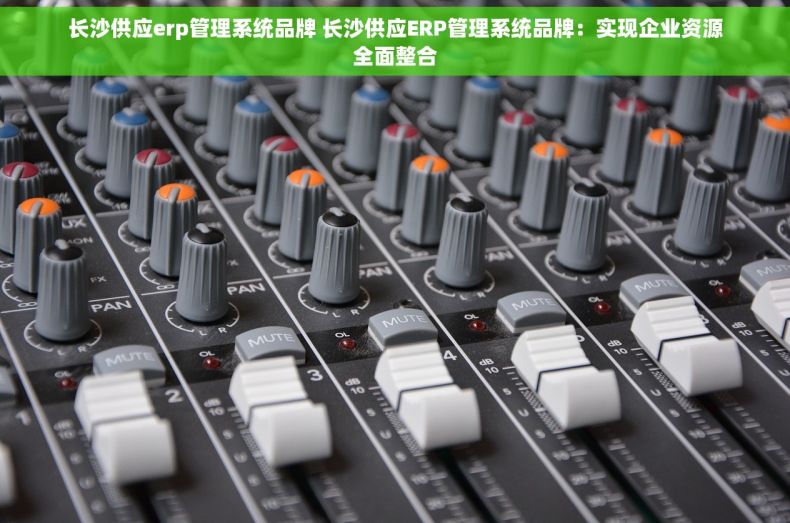 长沙供应erp管理系统品牌 长沙供应ERP管理系统品牌：实现企业资源全面整合