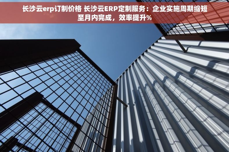 长沙云erp订制价格 长沙云ERP定制服务：企业实施周期缩短至月内完成，效率提升%