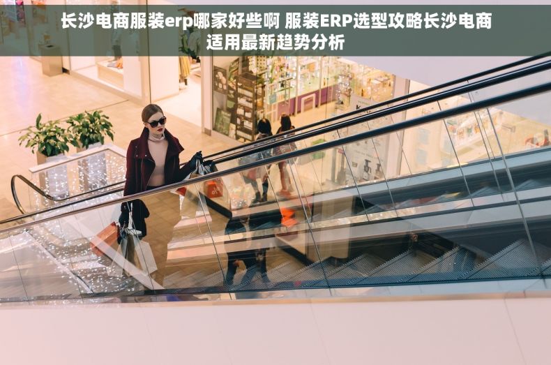 长沙电商服装erp哪家好些啊 服装ERP选型攻略长沙电商适用最新趋势分析