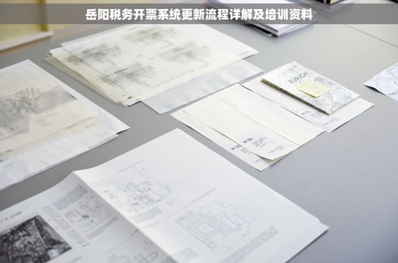 岳阳税务开票系统更新流程详解及培训资料