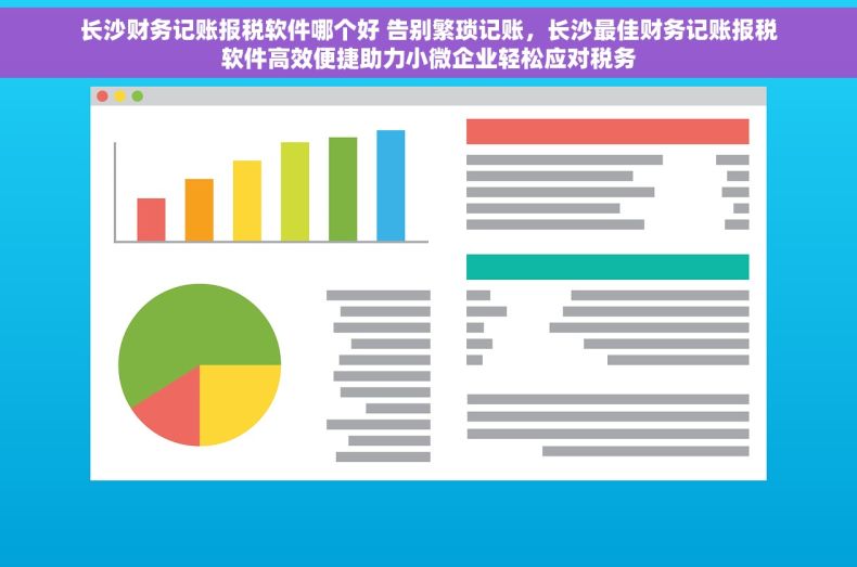 长沙财务记账报税软件哪个好 告别繁琐记账，长沙最佳财务记账报税软件高效便捷助力小微企业轻松应对税务