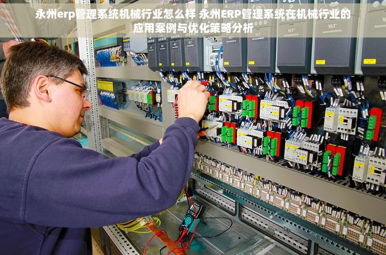 永州erp管理系统机械行业怎么样 永州ERP管理系统在机械行业的应用案例与优化策略分析