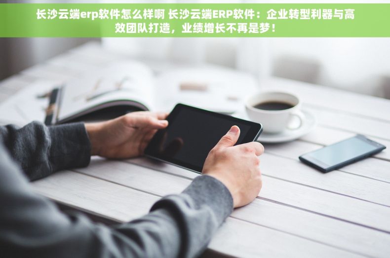 长沙云端erp软件怎么样啊 长沙云端ERP软件：企业转型利器与高效团队打造，业绩增长不再是梦！