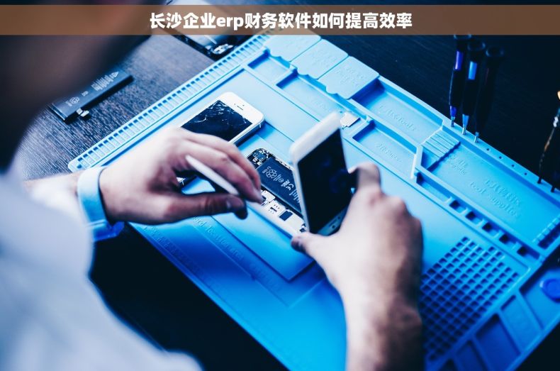 长沙企业erp财务软件如何提高效率