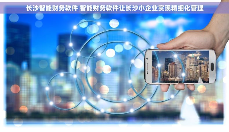 长沙智能财务软件 智能财务软件让长沙小企业实现精细化管理